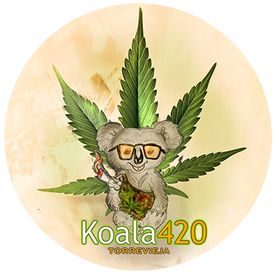 cannabis torrevieja - club cannabico koala 420