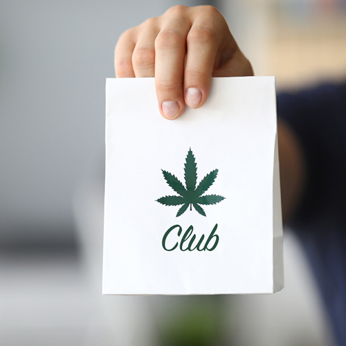 blog - club cannabis torrevieja