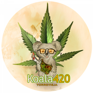 cannabis torrevieja – club cannabico koala 420 cannabis torrevieja - club cannabico koala 420